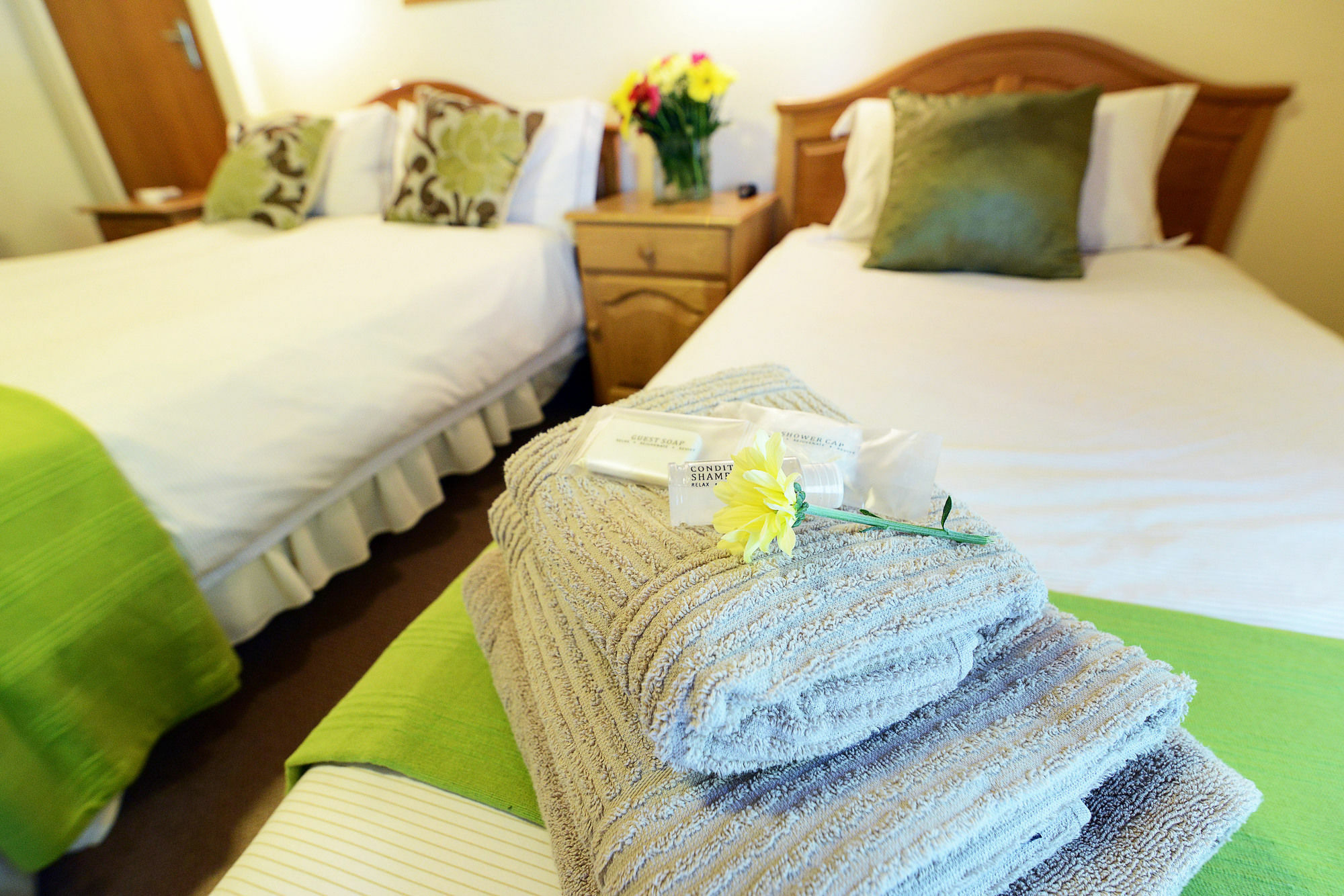 Rosenview Guest House Стелленбос Экстерьер фото
